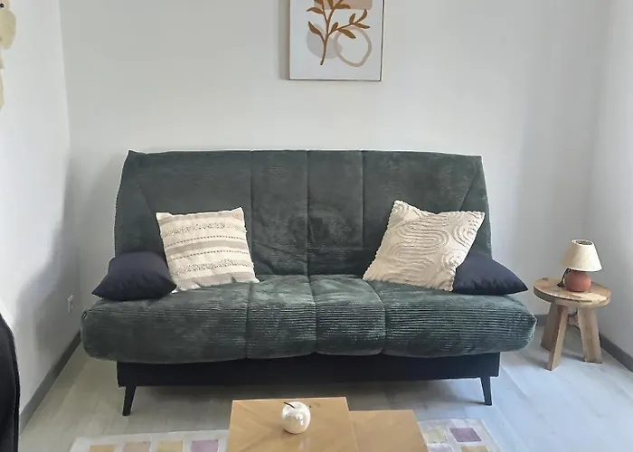 Superbe Cosy Ideal Pour Les Professionnels Et Les Couples En Deplacement Proche Gare Et Toutes Commodites